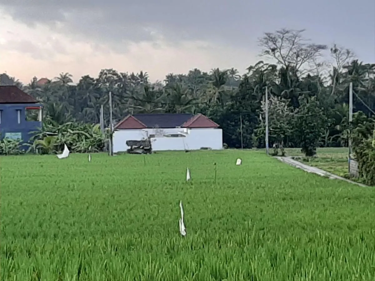 The Satya Villa Ubud
